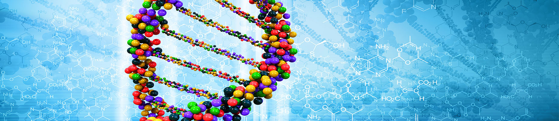 蛋白表達(dá)服務(wù)