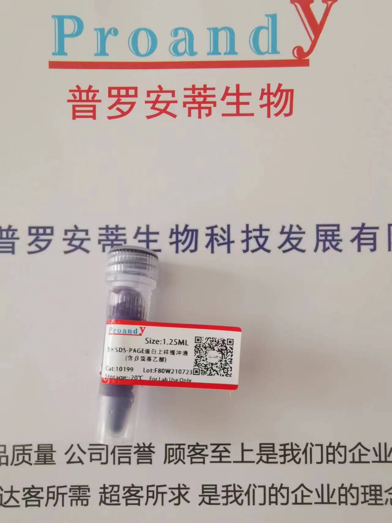 1690353318825764.jpg 還原變性--巰基乙醇.jpg