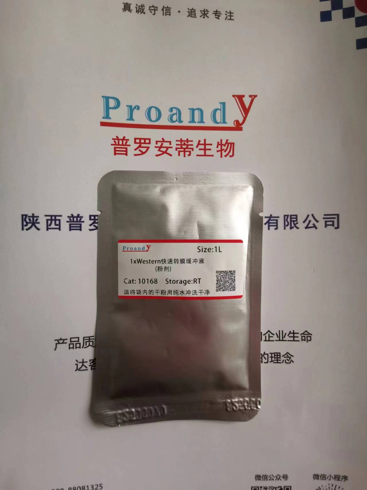 1691138817742762.jpg 轉(zhuǎn)膜-粉劑.jpg