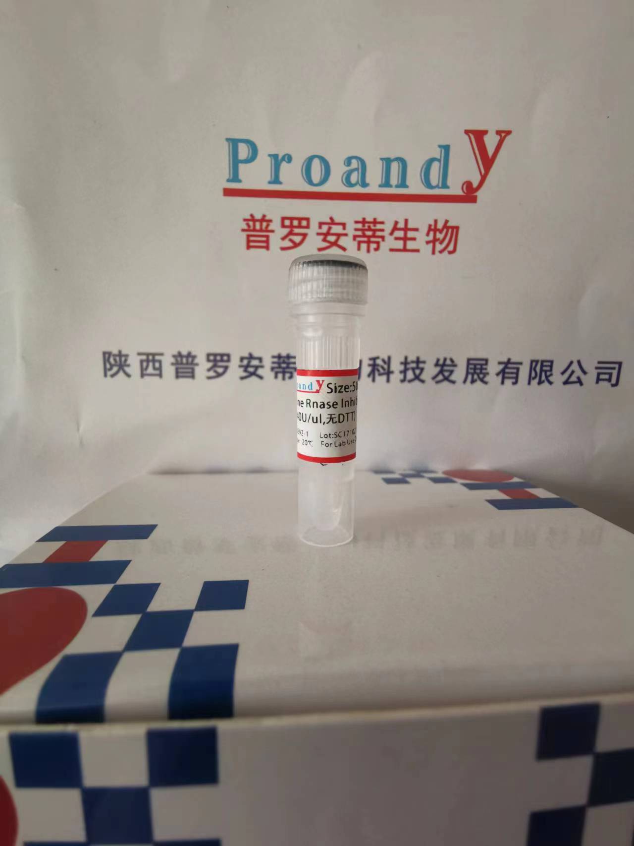 1698107672289357.jpg 鼠源RNAase抑制劑(無DTT).jpg