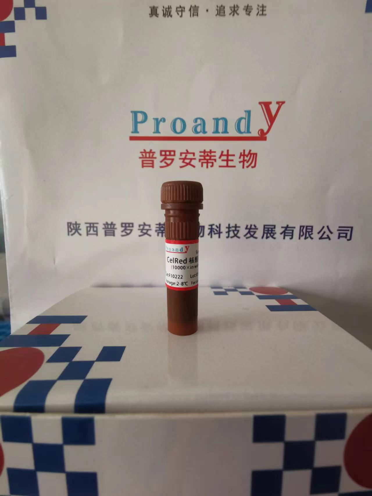 1698107765306002.jpg 核酸染料(紅色).jpg