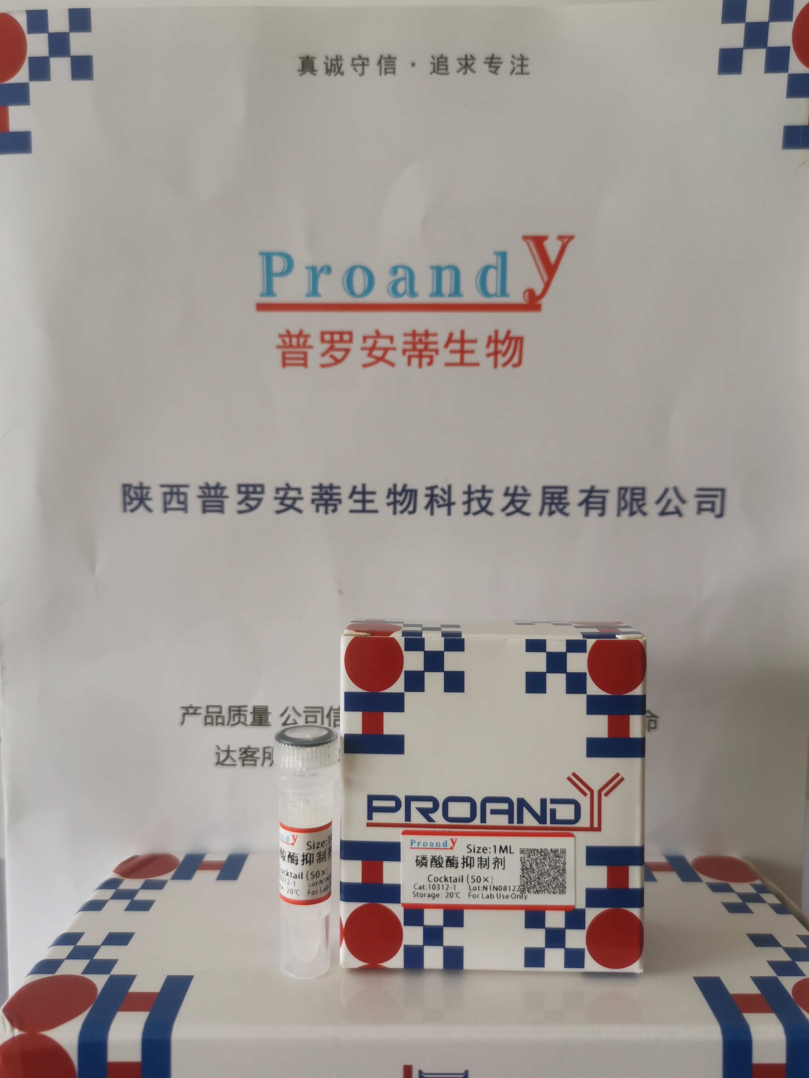 1702004759314579.jpg 50x磷酸酶抑制劑.jpg