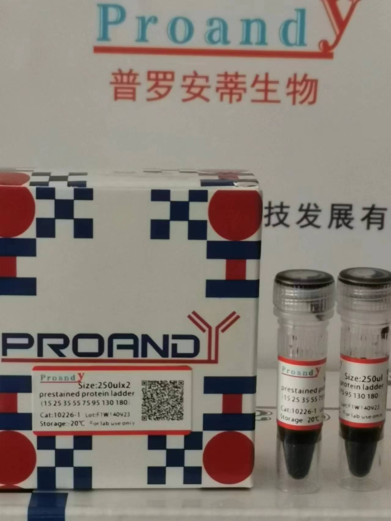 1709196007960244.jpg 蛋白Marker(15-180).jpg