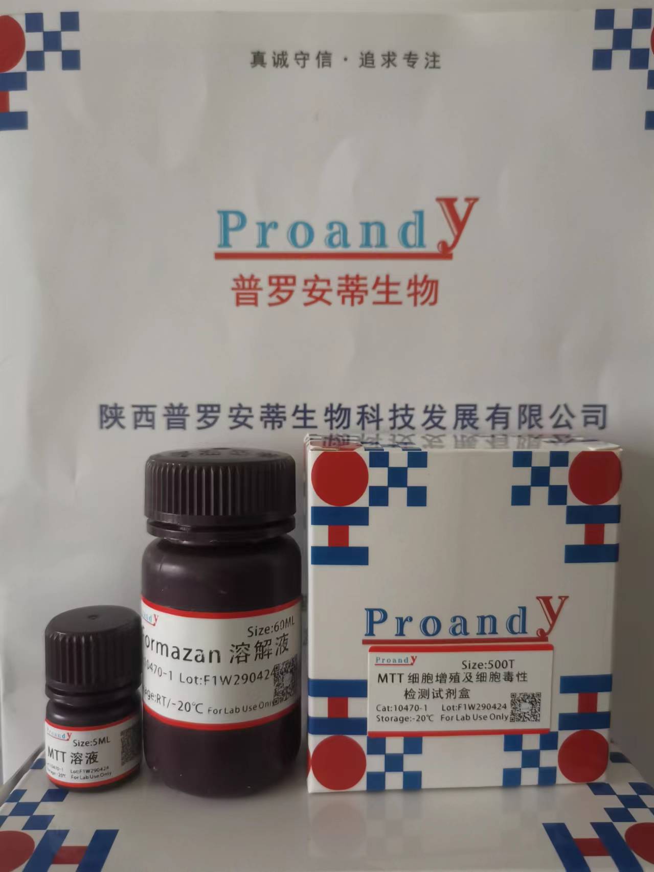 1714356150826217.jpg MTT 細(xì)胞增殖及細(xì)胞毒性檢測(cè)試劑盒.jpg
