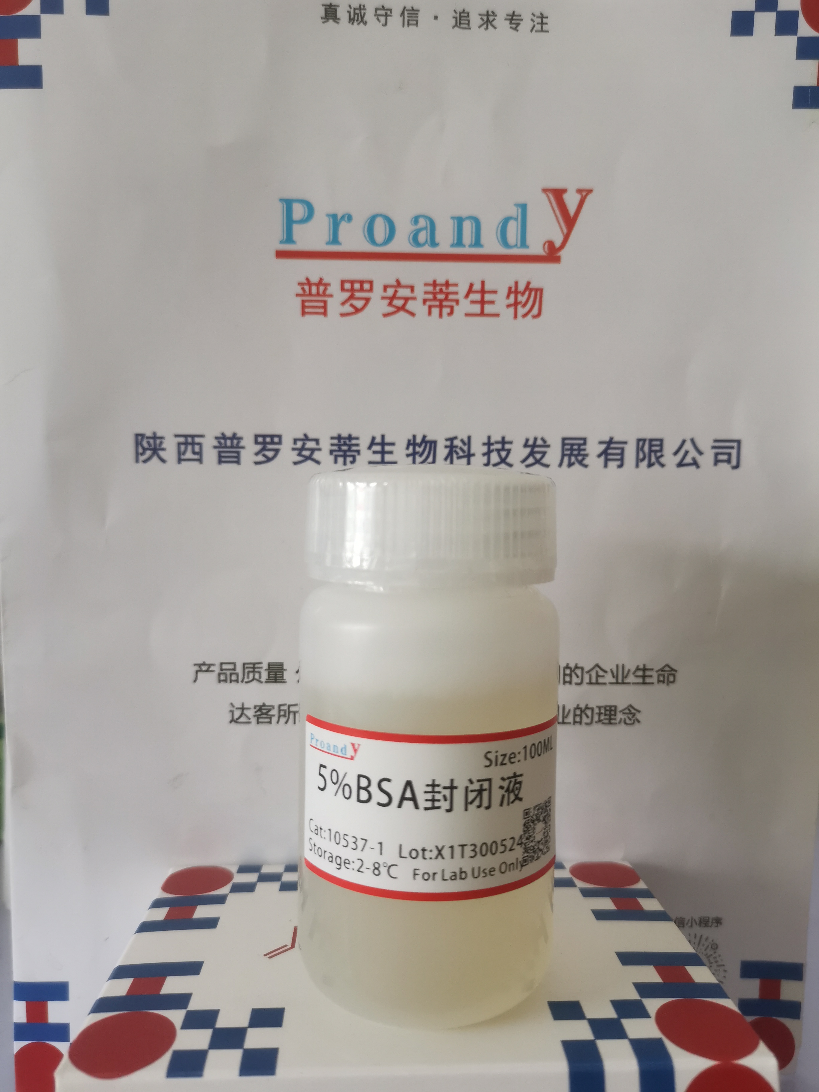 1717036839382185.jpg 5%BSA封閉液.jpg